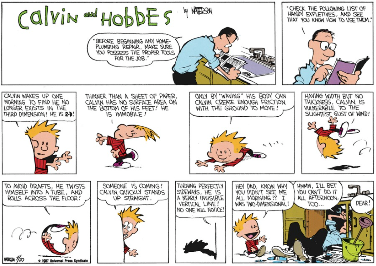 1-D Calvin lies in a subspace - where 2-D Calvin lives