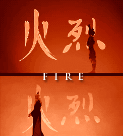 Playing with Fire: What Transfers When RL Trains a Language Agent?